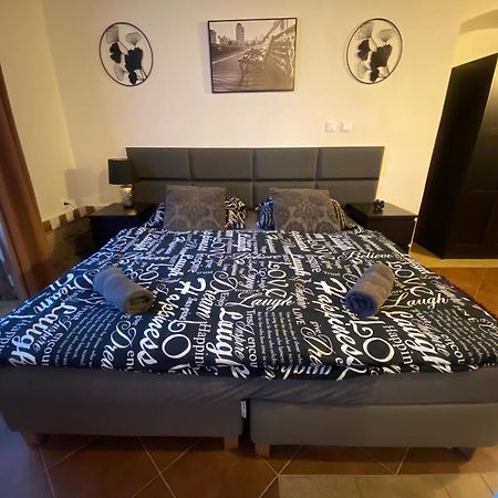 Vila Lucia - Apartman 1 Плзень Екстер'єр фото